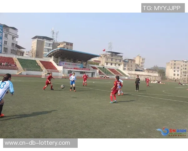 奥地利足球联赛精彩纷呈球队争夺激烈赛季前瞻与球员动态分析